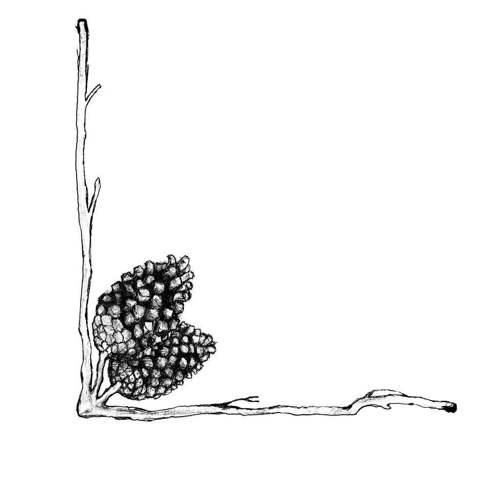 Illustrasjon til «Tusen ønsker» av Cathrine L. Wilhelmsen – norsk barnebok om annerledeshet, vennskap og håp, med magiske illustrasjoner.