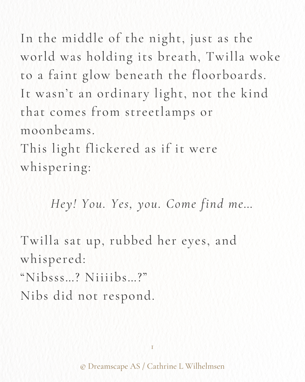 Twilla & Nibs and the Secret Room of the Winter Night - PlanetC