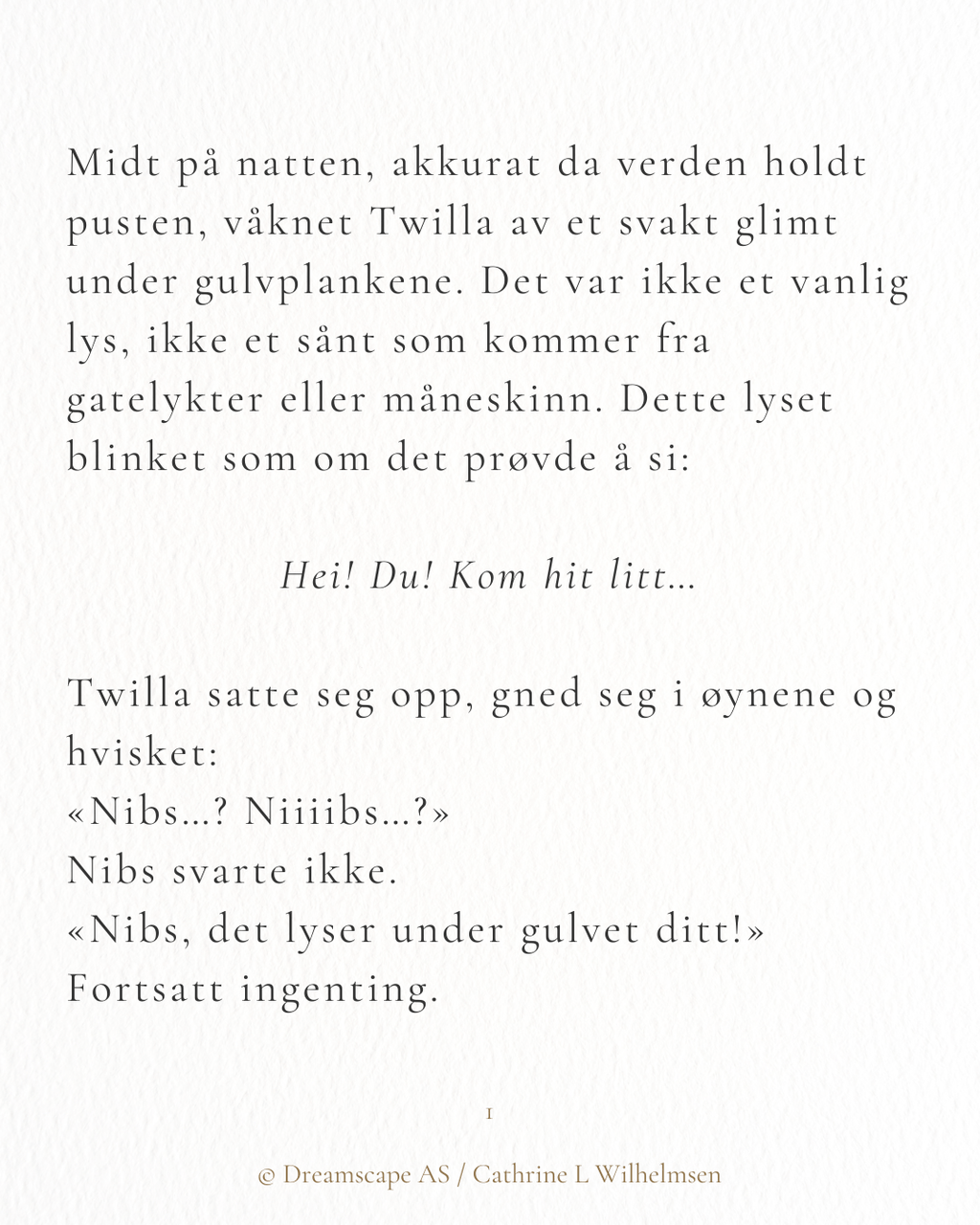 Twilla & Nibs - Vinternattens hemmelige rom - PlanetC